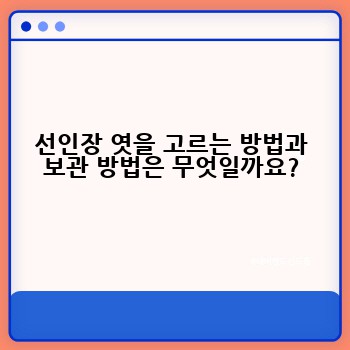 선인장 엿을 고르는 방법과 보관 방법은 무엇일까요?