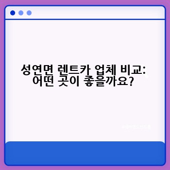 성연면 렌트카 업체 비교: 어떤 곳이 좋을까요?