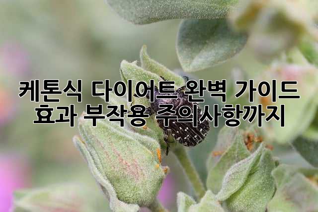 케톤식 다이어트 완벽 가이드: 효과, 부작용, 주의사항까지!