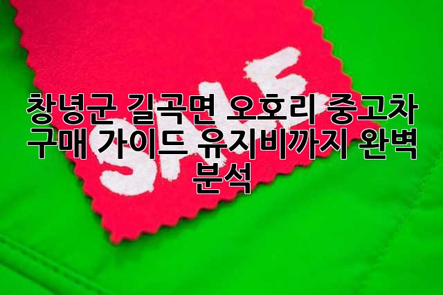 창녕군 길곡면 오호리 중고차 구매 가이드: 유지비까지 완벽 분석!