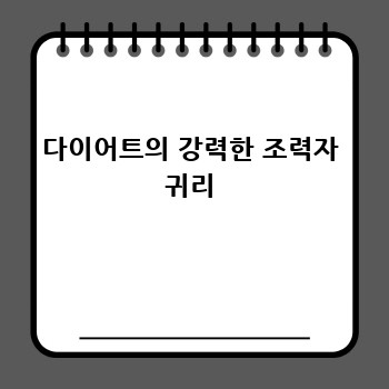 다이어트의 강력한 조력자 귀리