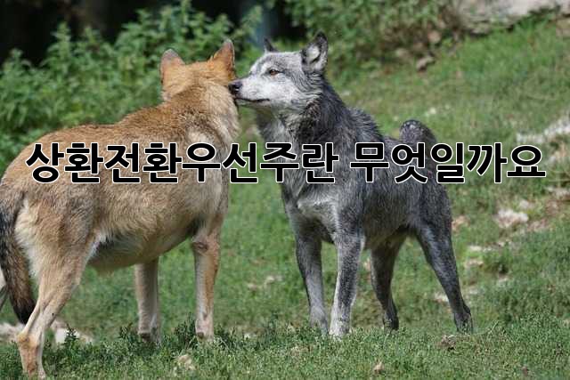 상환전환우선주란 무엇일까요? 🤔