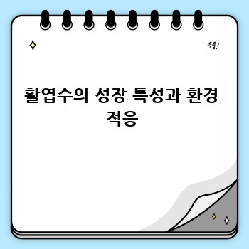 활엽수의 성장 특성과 환경 적응