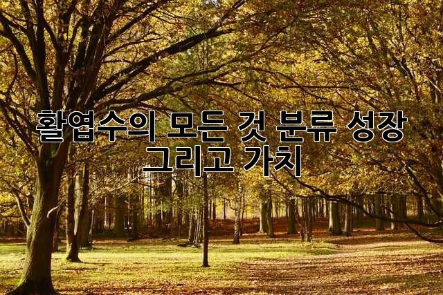 활엽수의 모든 것: 분류, 성장, 그리고 가치