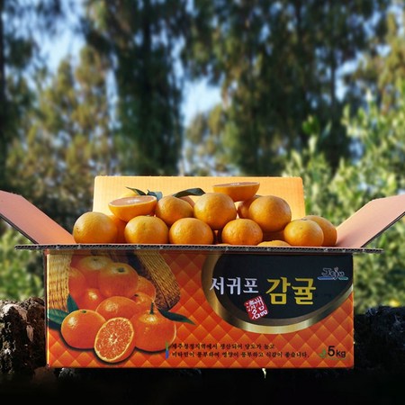 제주도 실내관광 추천! 꿀팁 가득한 후기와 할인 정보까지!
