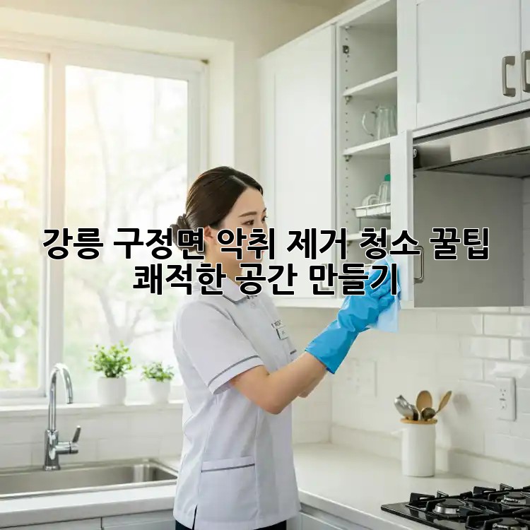강릉 구정면 악취 제거 청소 꿀팁🍯: 쾌적한 공간 만들기!