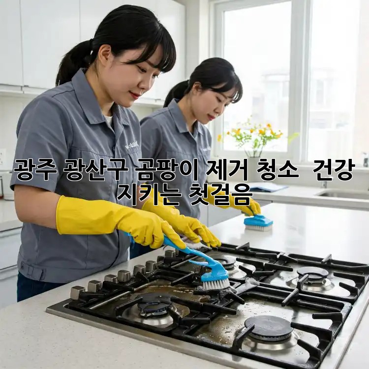 광주 광산구 곰팡이 제거 청소, 🏠 건강 지키는 첫걸음!