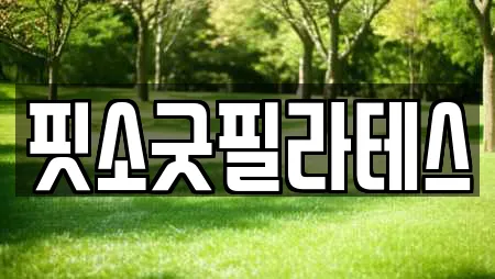 핏소굿필라테스