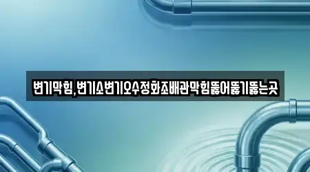 변기막힘,변기소변기오수정화조배관막힘뚫어뚫기뚫는곳