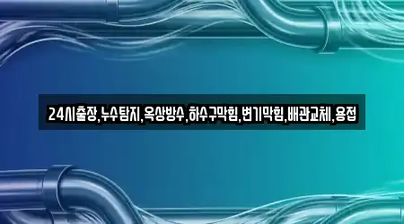 24시출장,누수탐지,옥상방수,하수구막힘,변기막힘,배관교체,용접