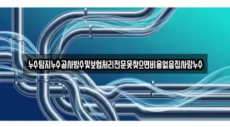 누수탐지누수공사방수및보험처리전문못찾으면비용없음집사랑누수
