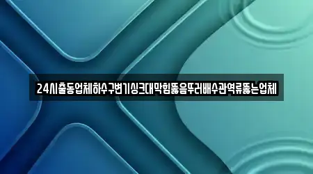 24시출동업체하수구변기싱크대막힘뚫음뚜러배수관역류뚫는업체