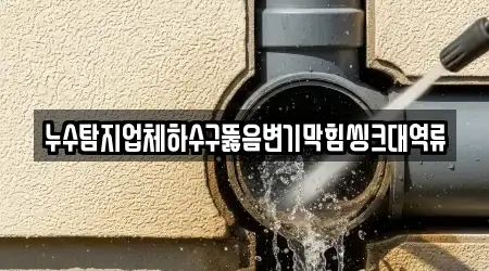 나주 남내동 하수구뚫음,변기막힘,누수,싱크대막힘,누수탐지 14곳, 업체 찾기