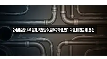 24시출장,누수탐지,옥상방수,하수구막힘,변기막힘,배관교체,용접