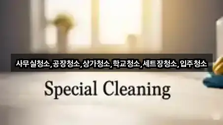 사무실청소,공장청소,상가청소,학교청소,세트장청소,입주청소