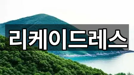 리케이드레스