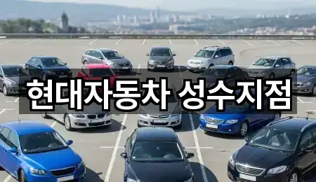 지금 연락 | 광진구 화양동 자동차전시장 5곳