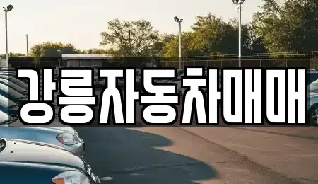 강원 강릉시 남문동 중고차매매 전문 강릉자동차매매