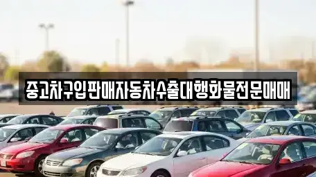 강원 강릉시 남문동 중고차매매 전문 중고차구입판매자동차수출대행화물전문매매