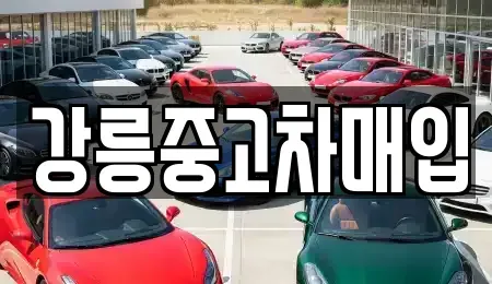 강원 강릉시 남문동 중고차매입 전문 강릉중고차매입