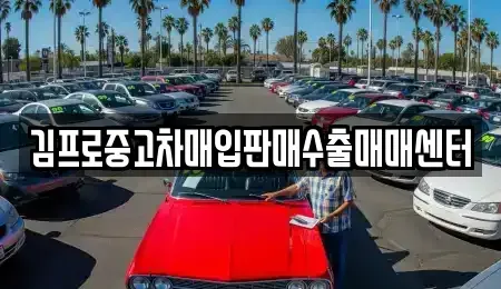 강원 강릉시 남문동 중고차매입 전문 김프로중고차매입판매수출매매센터