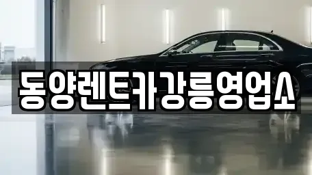 강원 강릉시 죽헌동 렌트카 전문 동양렌트카강릉영업소
