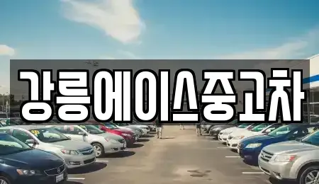 강원 강릉시 죽헌동 중고차 전문 강릉에이스중고차