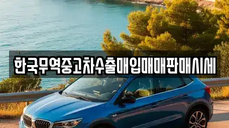 강원 강릉시 죽헌동 중고차매입 전문 한국무역중고차수출매입매매판매시세