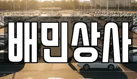 강원 삼척시 갈천동 중고차매매 전문 배민상사