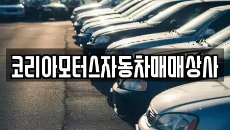 강원 삼척시 갈천동 중고차매매 전문 코리아모터스자동차매매상사
