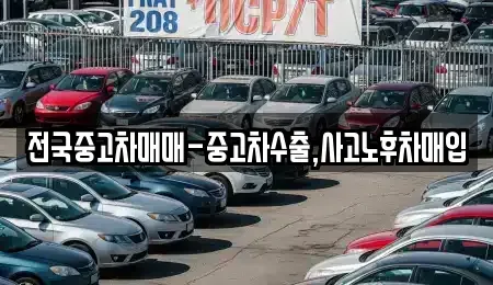 강원 삼척시 갈천동 중고차매입 전문 전국중고차매매-중고차수출,사고노후차매입