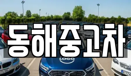 강원 삼척시 미로면 중고차매매 전문 동해중고차