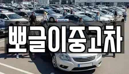 강원 삼척시 미로면 중고차매매 전문 뽀글이중고차