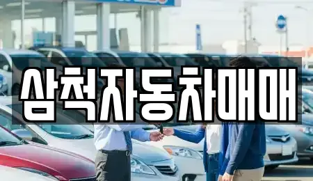 강원 삼척시 미로면 중고차매매 전문 삼척자동차매매
