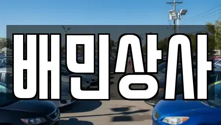 강원 삼척시 원덕읍 중고차매매 전문 배민상사