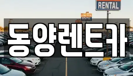 강원 삼척시 적노동 렌트카 전문 동양렌트카