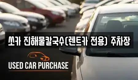 강원 삼척시 적노동 렌트카 전문 쏘카 진해물칼국수(렌트카 전용) 주차장