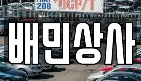 강원 삼척시 적노동 중고차매매 전문 배민상사