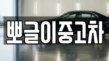 강원 삼척시 적노동 중고차매매 전문 뽀글이중고차