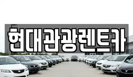 강원 속초시 설악동 렌트카 전문 현대관광렌트카