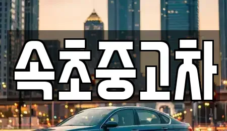 강원 속초시 설악동 중고차 전문 속초중고차