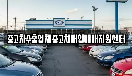 강원 속초시 설악동 중고차 전문 중고차수출업체중고차매입매매지원센터
