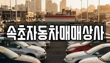 강원 속초시 조양동 중고차,렌트카,중고차매입,중고차매매,장기렌트카,단기렌트카