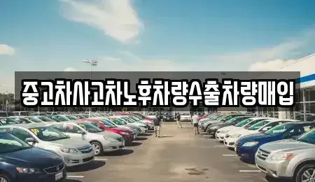 강원 속초시 조양동 중고차 전문 중고차사고차노후차량수출차량매입