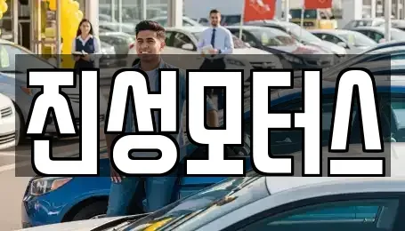 강원 속초시 조양동 중고차 전문 진성모터스