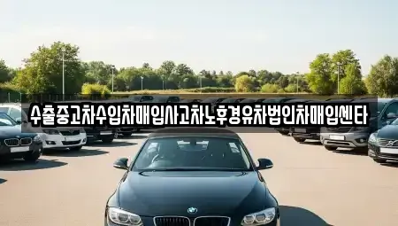 강원 속초시 조양동 중고차매입 전문 수출중고차수입차매입사고차노후경유차법인차매입센타