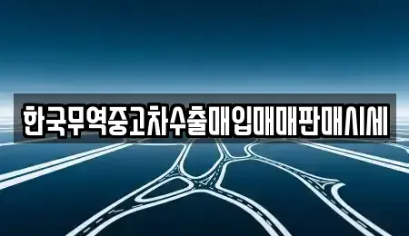 강원 속초시 조양동 중고차매입 전문 한국무역중고차수출매입매매판매시세
