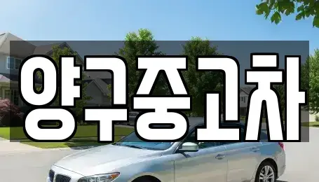 강원 양구군 국토정중앙면 중고차매매 전문 양구중고차