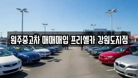 강원 원주시 무실동 중고차 전문 원주중고차 매매매입 프리셀카 강원도지점
