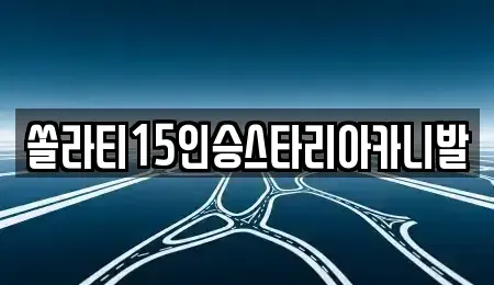 강원 원주시 문막읍 렌트카 전문 쏠라티15인승스타리아카니발